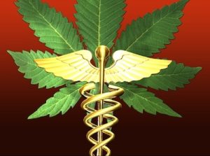 Medical Cannabis Questions